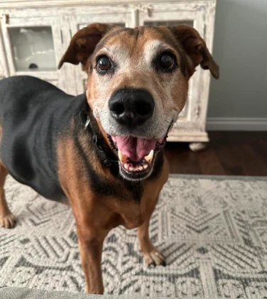 apex_media_seattle_bobby_2