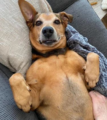 apex_media_seattle_bobby_4