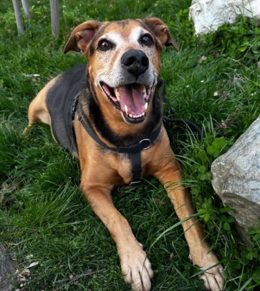 apex_media_seattle_bobby_5